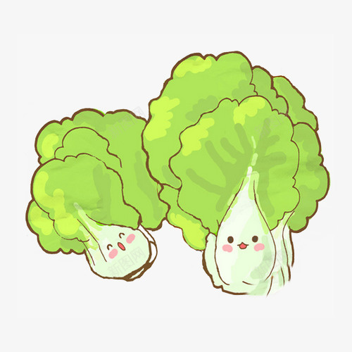 卡通 卡通大白菜 可爱 图案 大白菜 微笑 手绘 油菜 白菜 蔬菜 青菜