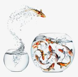 创意鱼类设计水缸里的锦鲤高清图片