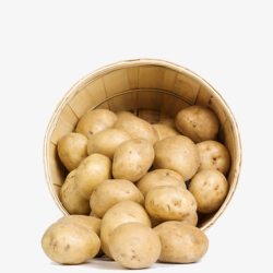 马铃薯淀粉一筐土豆高清图片