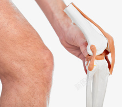膝盖骨质疏松素材
