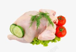 菜食白色鸡肉高清图片