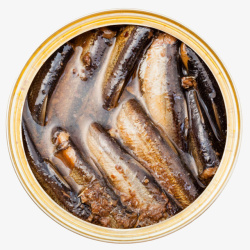 罐装食品金色圆形的沙丁鱼罐头俯视图高清图片
