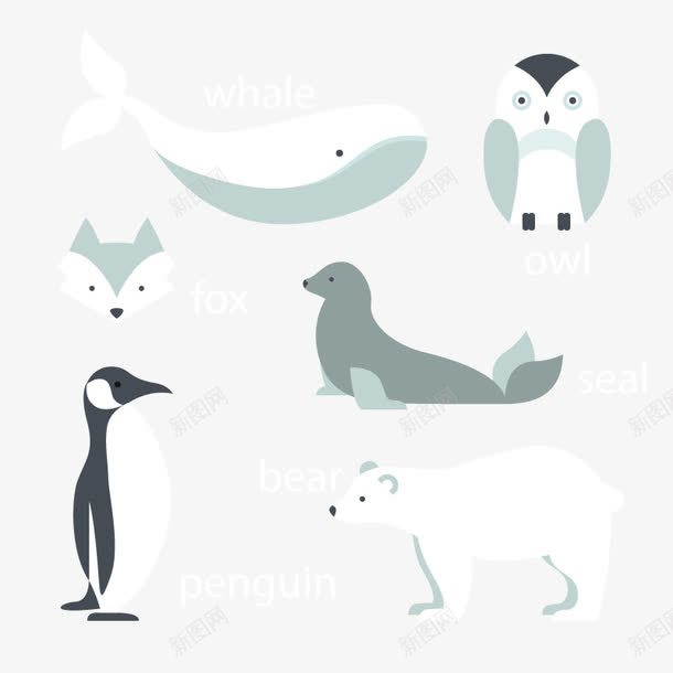 极地动物png免抠素材_新图网 https://ixintu.com 企鹅 北极熊 卡通 海狮