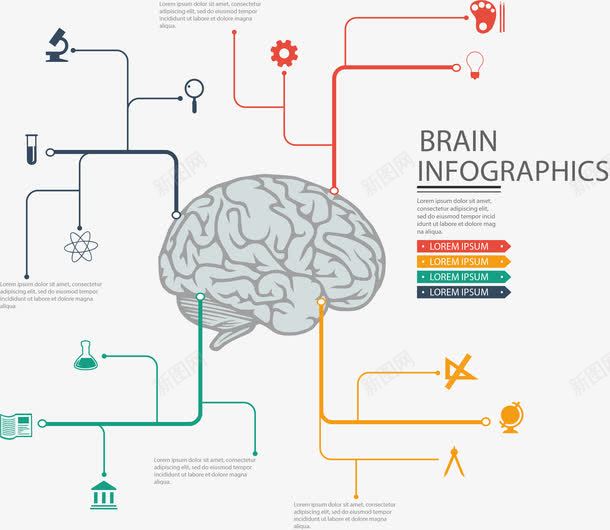 PPT大脑信息图png免抠素材_新图网 https://ixintu.com 人脑 创造力 头脑 思维导图 想象力 脑神经
