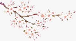 古典腊梅2017新年花枝高清图片