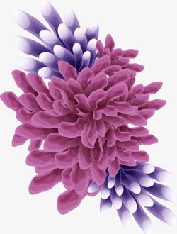 蓝紫海葵素材