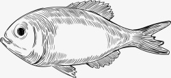 深海鱼手绘世界海洋日素描小鱼高清图片