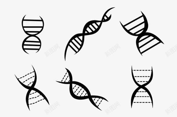 双螺旋黑色图标png_新图网 https://ixintu.com DNA 双螺旋结构 黑色图标