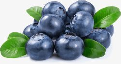多汁风格圆润多汁的蓝莓高清图片