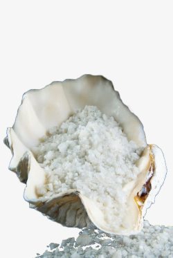 免抠蚌壳白色蚌壳里的海盐高清图片