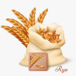黑麦免抠PNG黑麦高清图片
