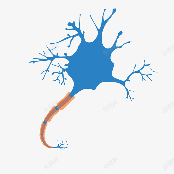 蓝色神经元矢量图ai免抠素材_新图网 https://ixintu.com 传导 神经元 素材 蓝色 矢量图