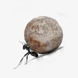 黑色的蚂蚁灰色石头黑色蚂蚁高清图片