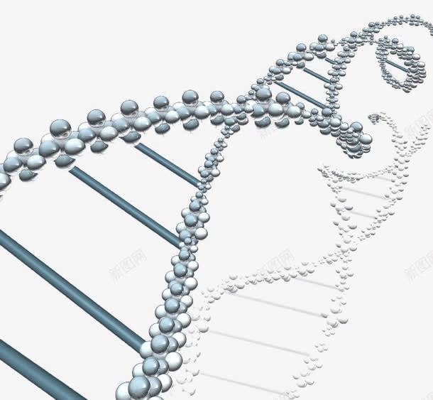 遗传基因png免抠素材_新图网 https://ixintu.com 基因 基因链 遗传因子 遗传基因