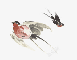 尾巴飞翔的水墨燕子简图高清图片