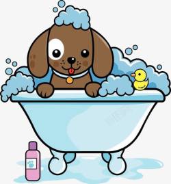 沐浴擦趴在浴盆上的小狗高清图片