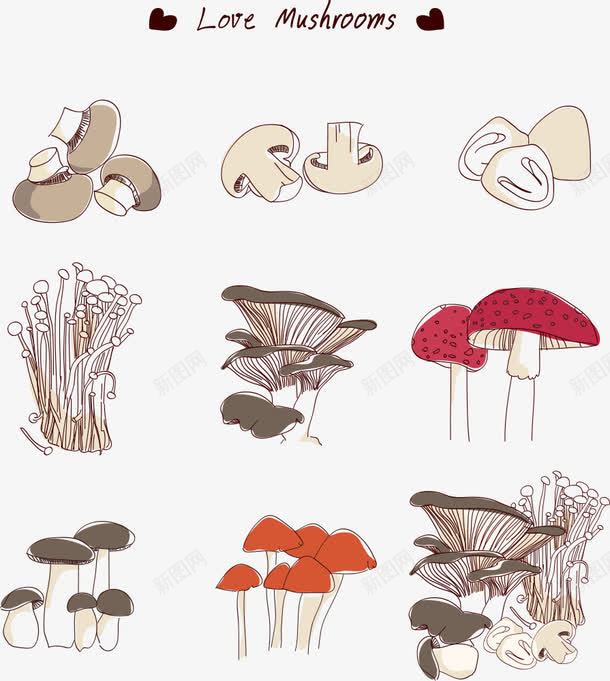 手绘蘑菇png免抠素材_新图网 https://ixintu.com 卡通蘑菇 矢量蘑菇 蘑菇 金针菇
