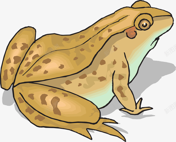 黄褐色的青蛙png免抠素材_新图网 https://ixintu.com 斑点 棕色 蟾蜍 褐色 蹲着 青蛙