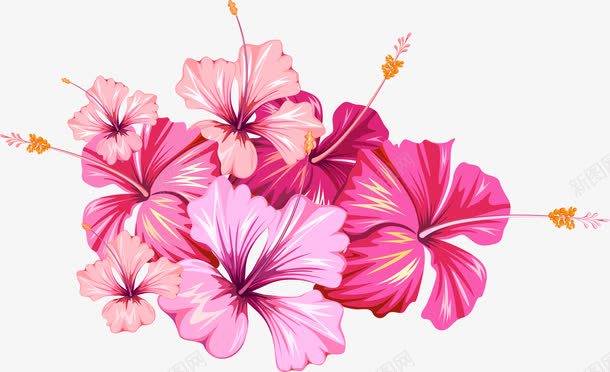 粉色花簇png免抠素材_新图网 https://ixintu.com 唯美 手绘 水彩 漂亮 花卉 花朵 装饰