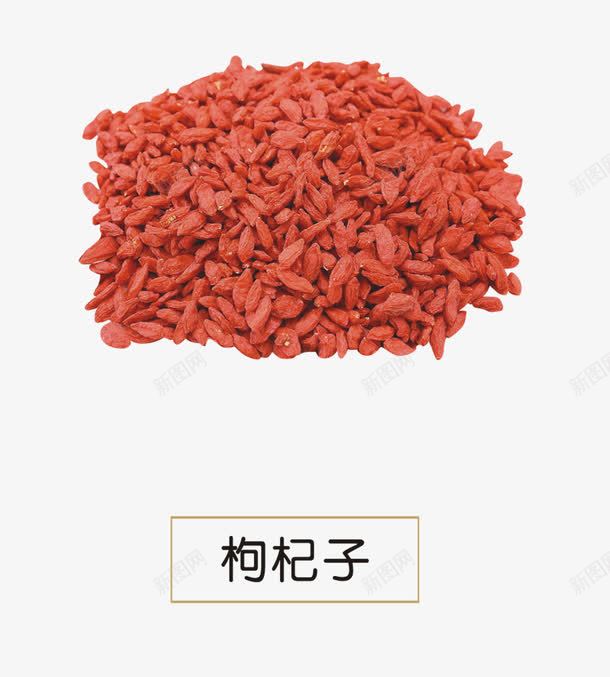 枸杞子png免抠素材_新图网 https://ixintu.com 中医 中草药 中药 草药