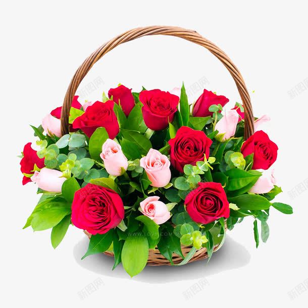 玫瑰花篮png免抠素材_新图网 https://ixintu.com 手绘 新鲜的 漂亮的 玫瑰花多 礼物 美丽的 花篮
