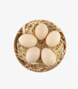 鸡蛋食材素材稻草上的鸡蛋高清图片