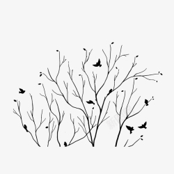 光秃秃枯树枝和小鸟高清图片