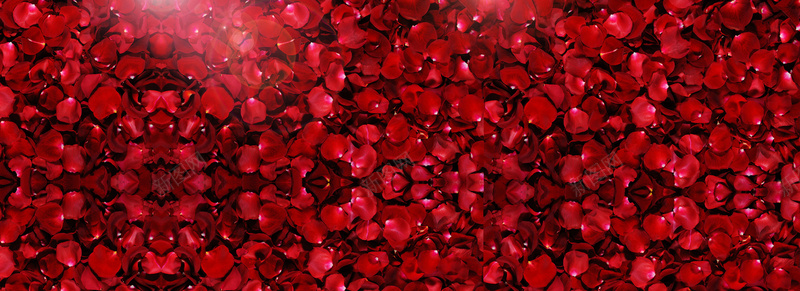情人节玫瑰花浪漫红色海报背景背景