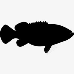 海洋生物剪影歌利亚石斑鱼形图标高清图片
