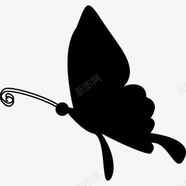 蝴蝶飞的剪影图标图标