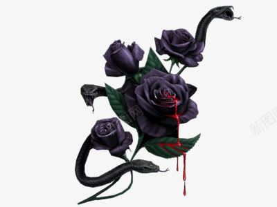 黑色的玫瑰png免抠素材_新图网 https://ixintu.com 严肃 玫瑰 红色 黑色