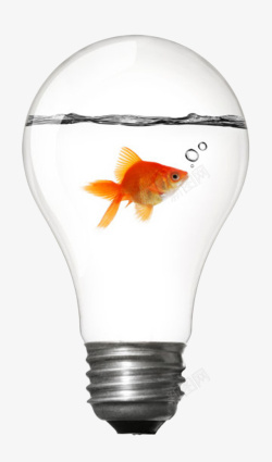 爱迪生创意电器金鱼在灯泡里面游泳装饰高清图片