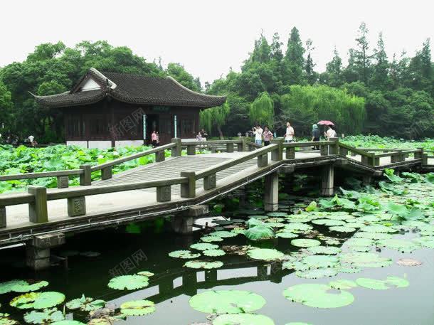 曲院风荷风景区png免抠素材_新图网 https://ixintu.com 旅游景区 曲院风荷风景区 杭州曲院风荷 著名景点