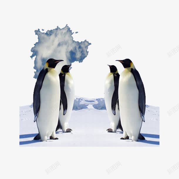 冰川企鹅png免抠素材_新图网 https://ixintu.com 企鹅 冰山 冰川 南极 寒冷 模型