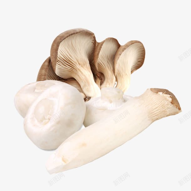 新鲜茶树菇png免抠素材_新图网 https://ixintu.com 生鲜 蔬菜 蘑菇 食用菌