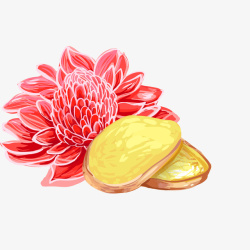 大红花装饰姜片和鲜花高清图片