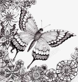 蝶恋花插花矢量素材精致的手绘蝴蝶高清图片