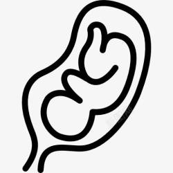 婴儿在里面胎儿在子宫图标高清图片