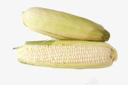 纯天然白玉米棒子大图两根儿白玉米高清图片
