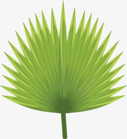 绿色棕榈叶植物素材