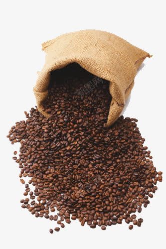 一袋咖啡豆psd免抠素材_新图网 https://ixintu.com 咖啡 咖啡冲剂 咖啡豆 现磨 鍜栧暋 鍜栧暋璞 鍜栧暋鍐插墏 鐜扮