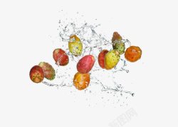 乳油木果水中的仙人掌果实片高清图片