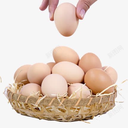 新鲜柴鸡蛋png免抠素材_新图网 https://ixintu.com 农家 土鸡蛋 散养 新鲜 柴鸡蛋 笨鸡蛋 草鸡蛋