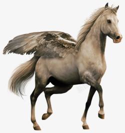 矢量马匹带翅膀的飞马高清图片