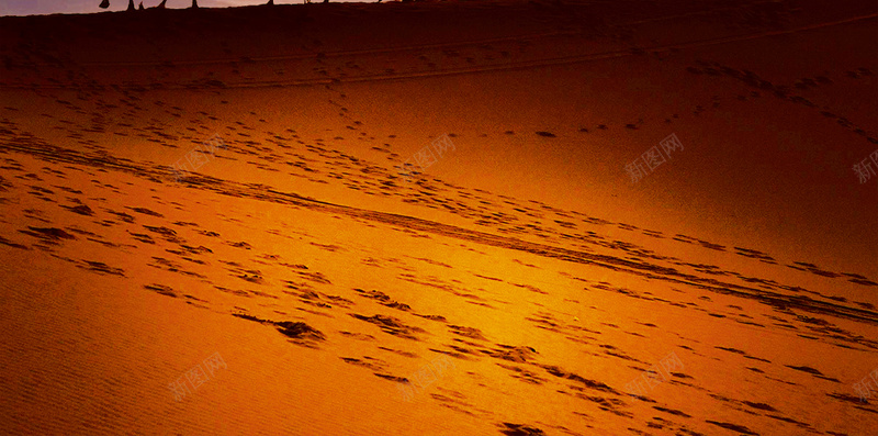 沙漠骆驼PSD分层H5背景psd设计背景_新图网 https://ixintu.com H5背景素材 一带一路 一带一路宣传画 一带一路峰会 一带一路战略 一带一路路线 一带一路高峰论坛 丝绸之路 剪影 夕阳 晚霞 服务一带一路 沙漠 红色 金色 骆驼 黄色
