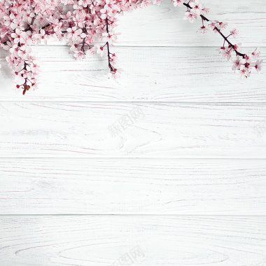樱花木板背景背景