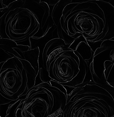 黑色玫瑰花纹背景背景