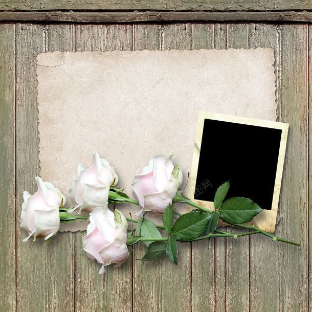 玫瑰与相片背景jpg设计背景_新图网 https://ixintu.com 其它类别 图片素材 怀旧背景 照片 玫瑰与相片背景图片 玫瑰与相片背景图片素材下载 玫瑰花 白玫瑰 相片背景 背景花边 鲜花