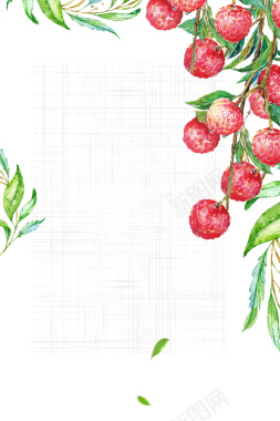 有机新鲜水果夏天热销水果荔枝海报背景