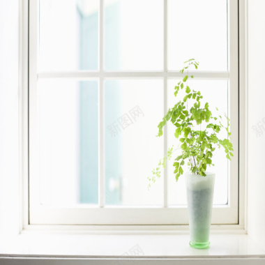 小清新窗台盆栽背景背景
